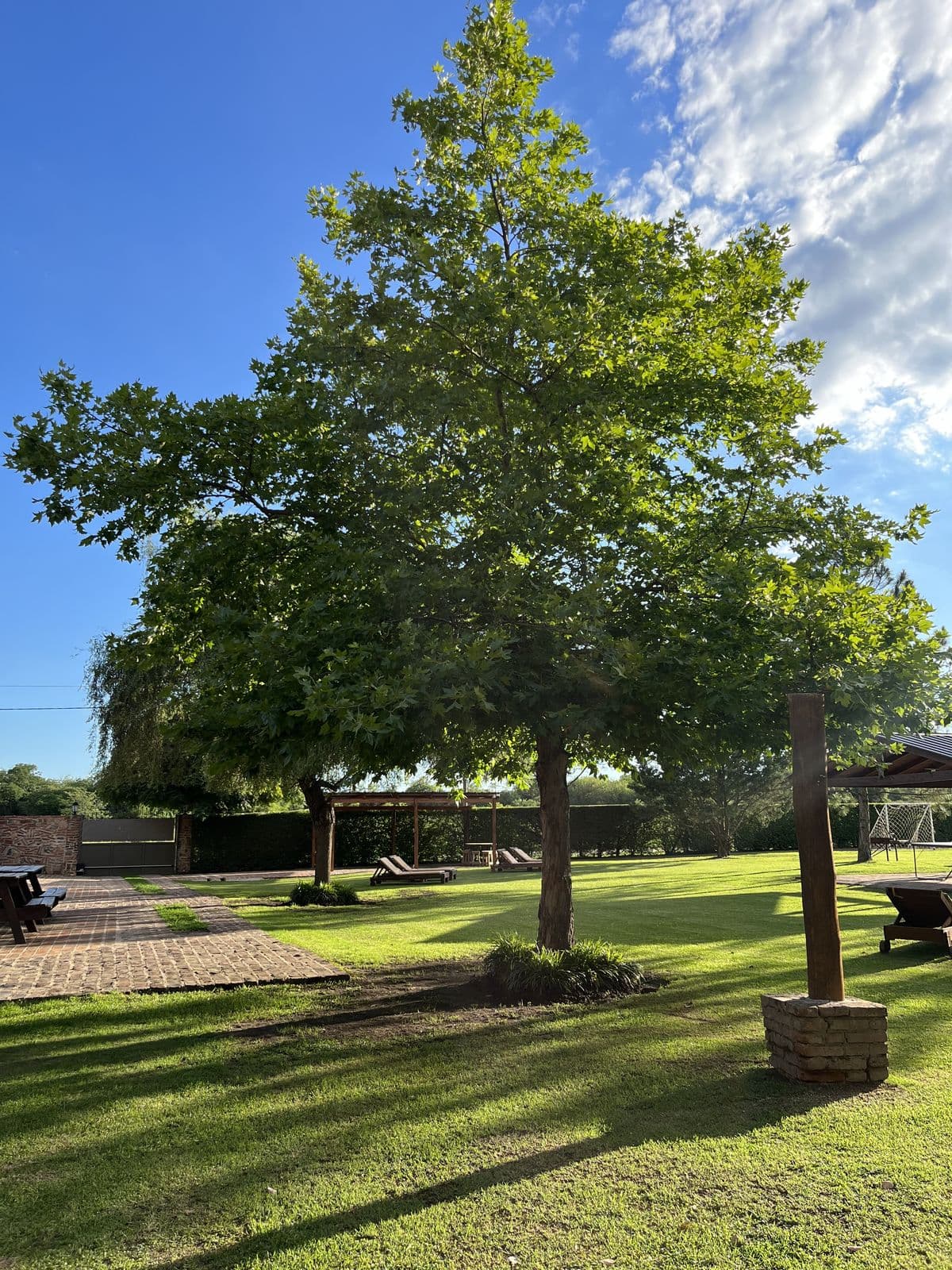 Árboles y galería del parque