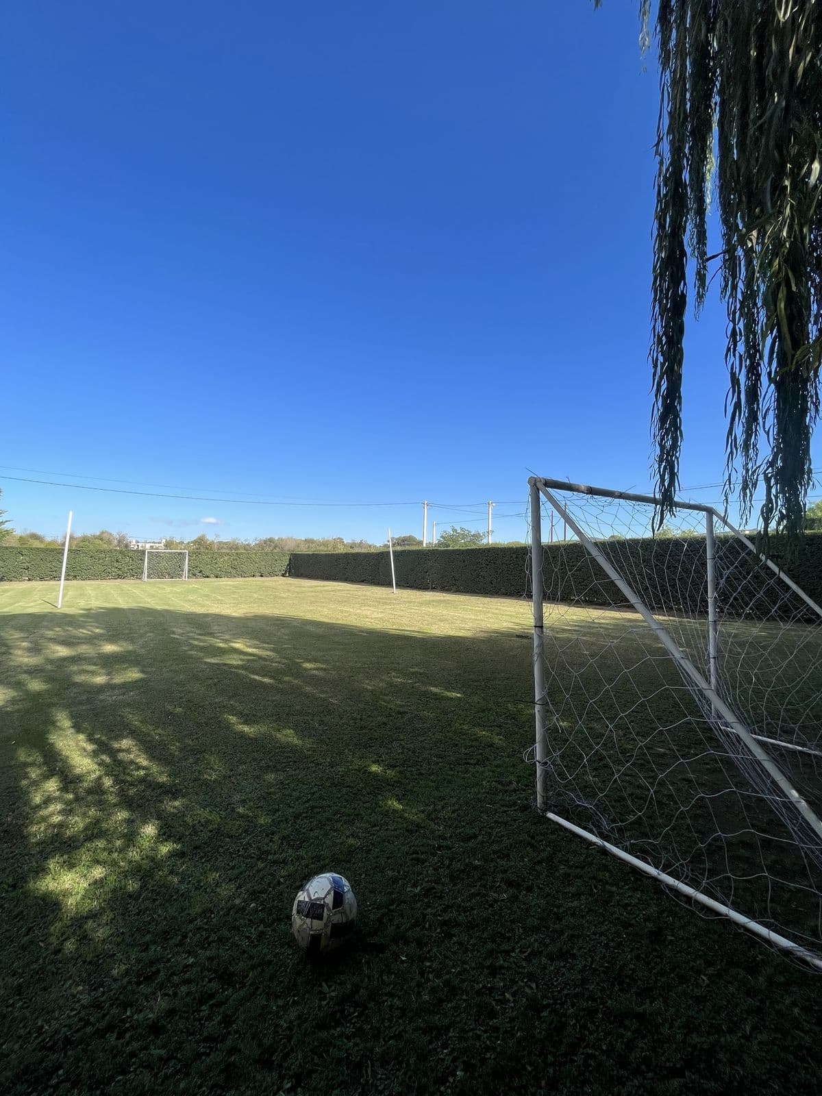 Cancha de fútbol entre los árboles