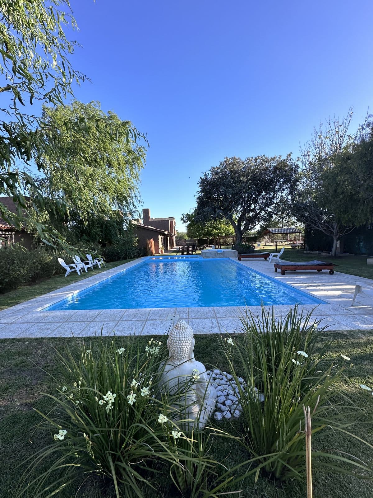 Piscina con estatua de Buda entre las plantas