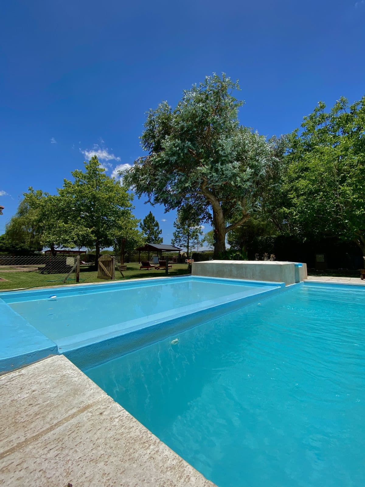 Solárium de la piscina con el parque de fondo